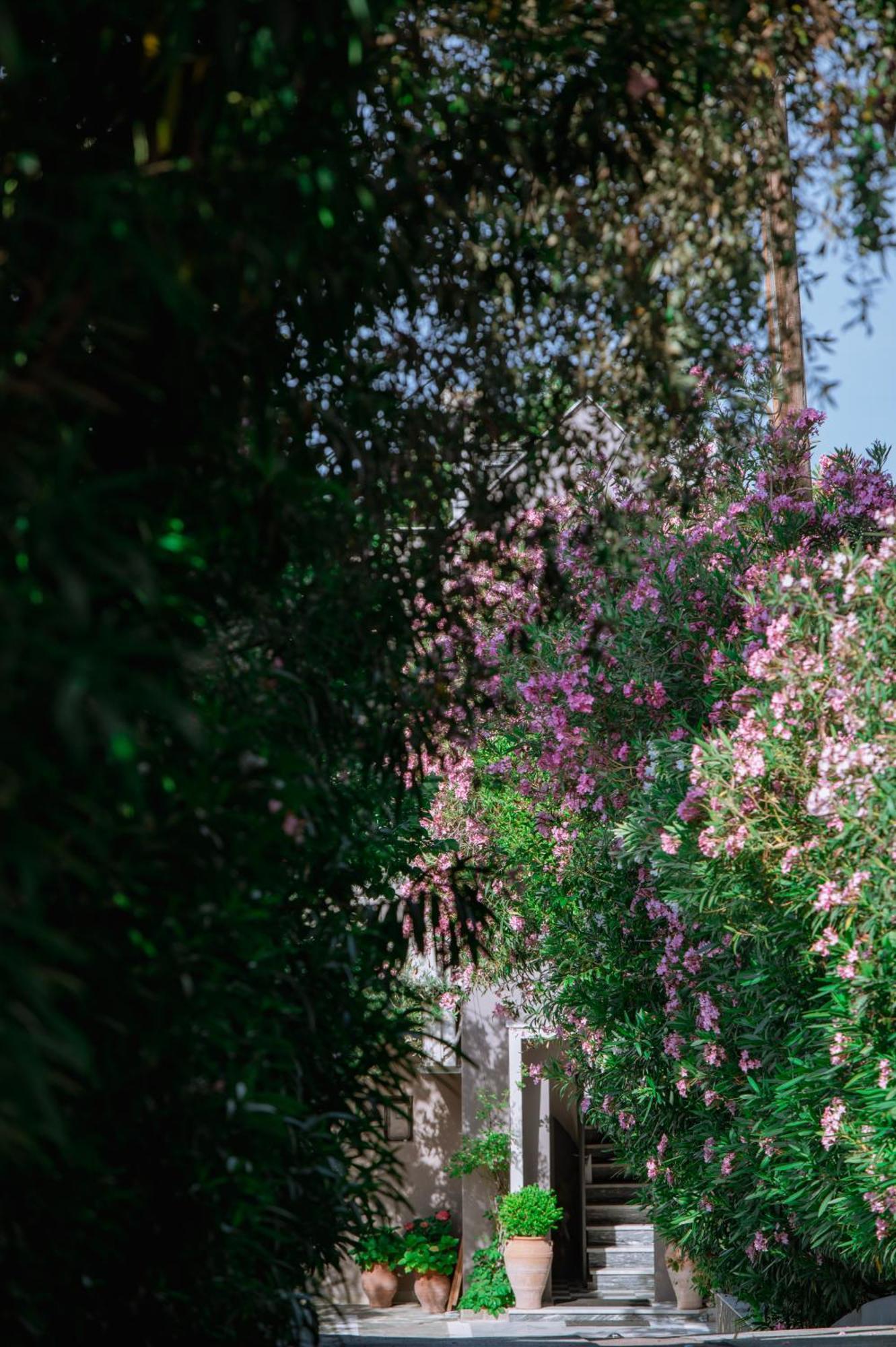 Apartamento Ktima Papaoikonomou 2 Potos Exterior foto